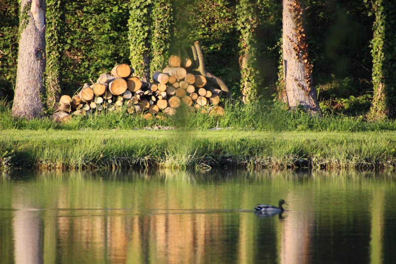 Naturia Chimay Exteriér fotografie